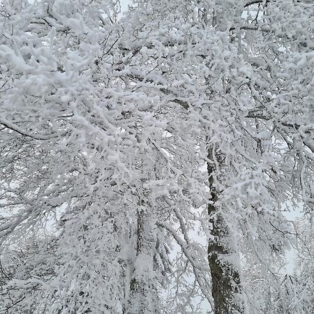 Bergbutzen Mit Balkon Apartment Браунлаге Екстериор снимка